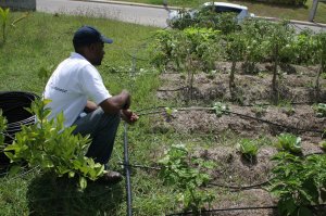 325635_313497505347889_928181733_o